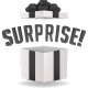 Surprise Gifting Options